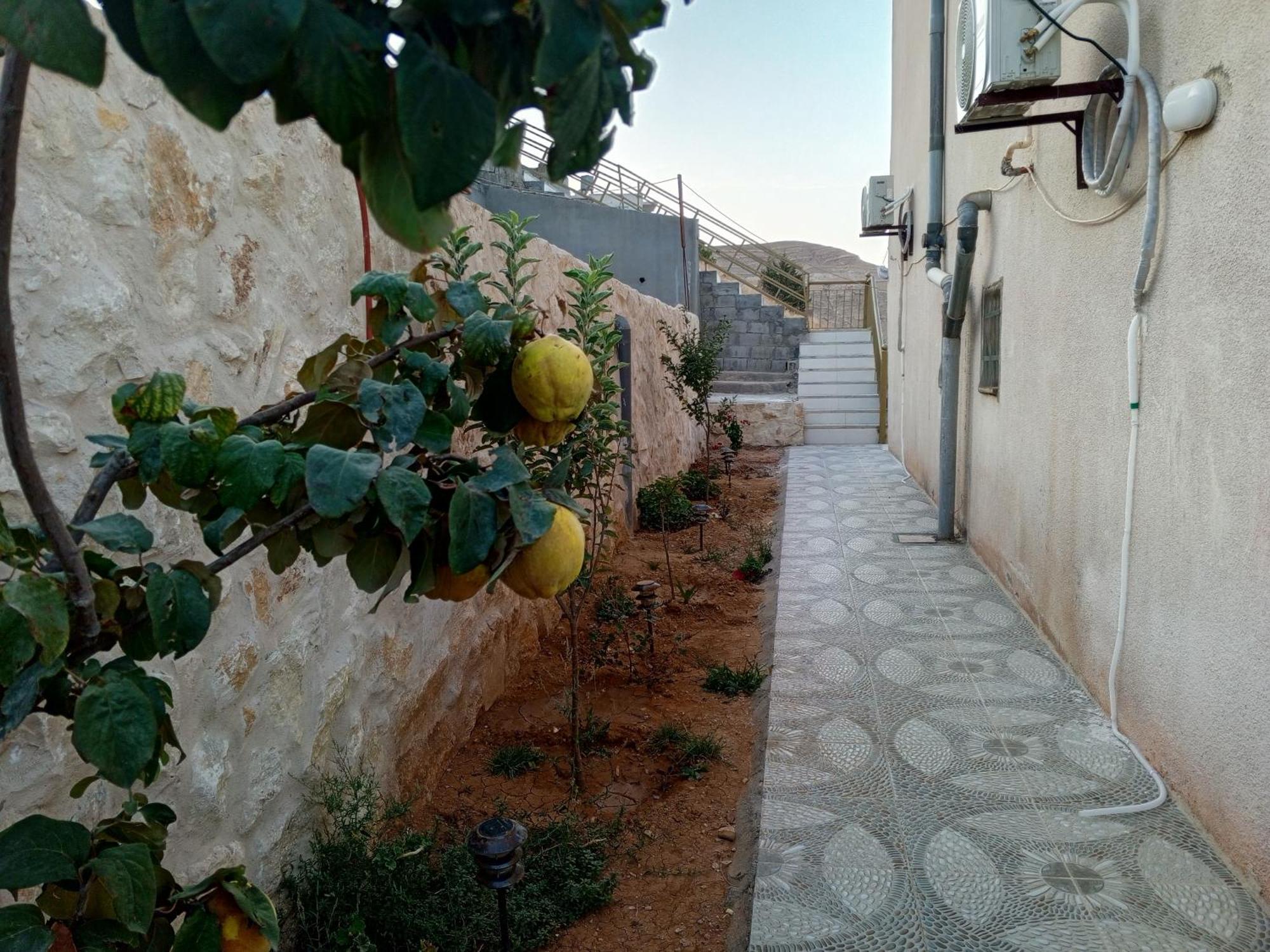 Petra Inn House Ουάντι Μούσα Εξωτερικό φωτογραφία